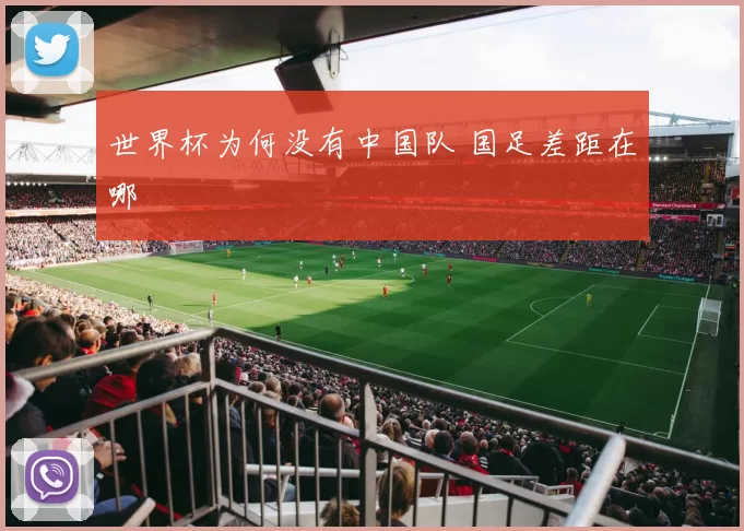 世界杯为何没有中国队 国足差距在哪