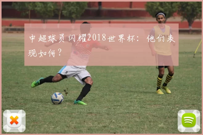 中超球员闪耀2018世界杯：他们表现如何？