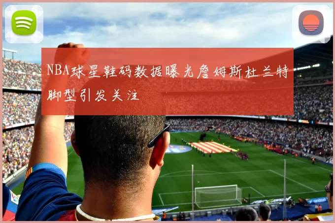 NBA球星鞋码数据曝光詹姆斯杜兰特脚型引发关注