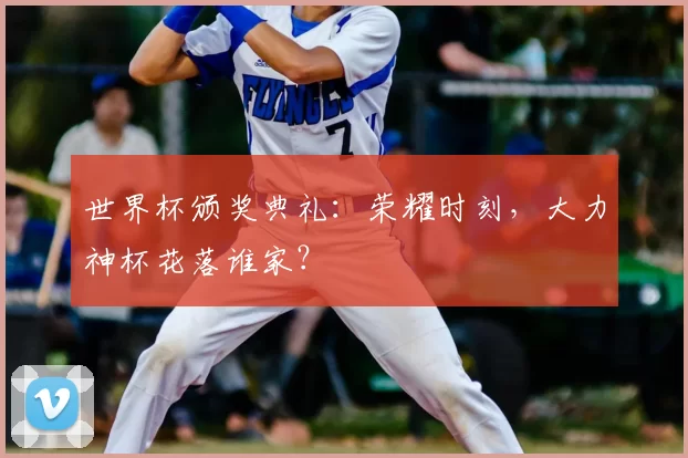 世界杯颁奖典礼：荣耀时刻，大力神杯花落谁家？