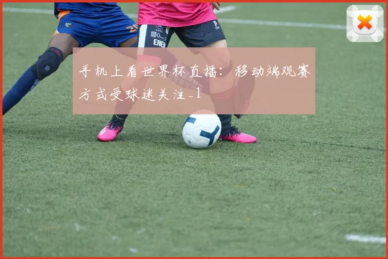 手机上看世界杯直播：移动端观赛方式受球迷关注_1