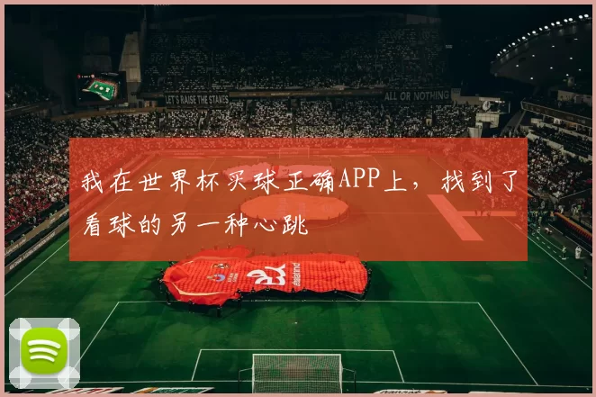 我在世界杯买球正确APP上，找到了看球的另一种心跳
