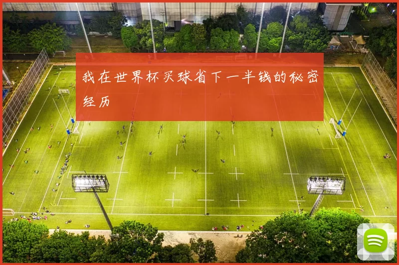 我在世界杯买球省下一半钱的秘密经历