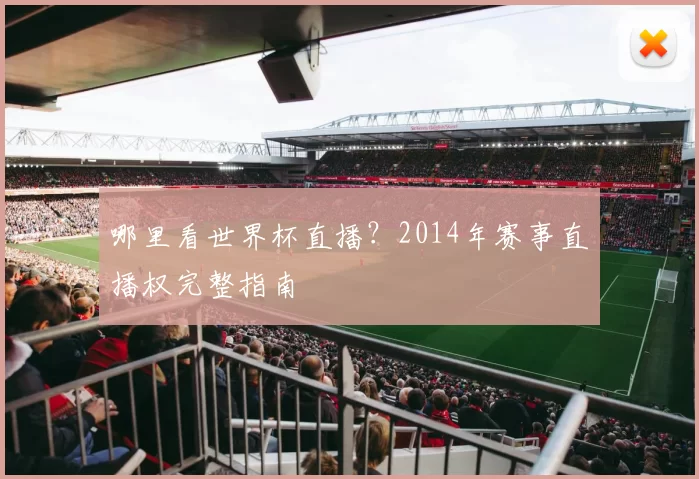 哪里看世界杯直播?2014年赛事直播权完整指南