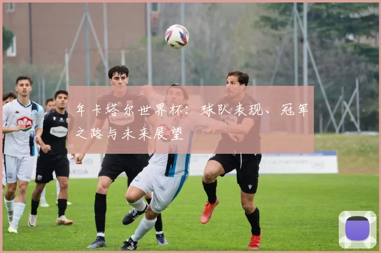 年卡塔尔世界杯：球队表现、冠军之路与未来展望