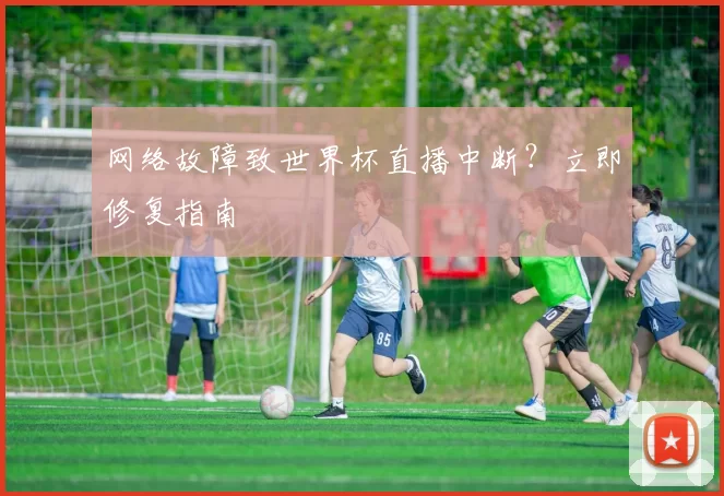 网络故障致世界杯直播中断?立即修复指南