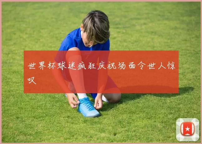 世界杯球迷疯狂庆祝场面令世人惊叹