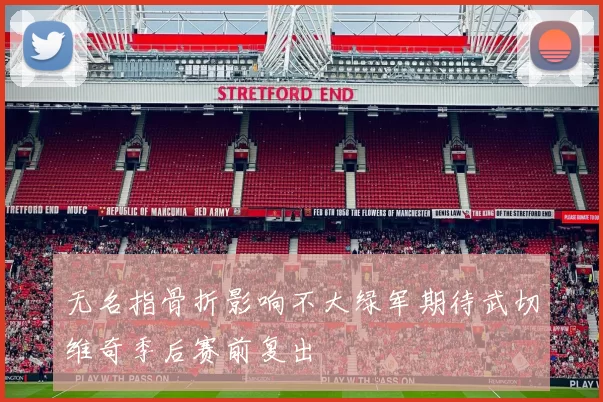 无名指骨折影响不大绿军期待武切维奇季后赛前复出