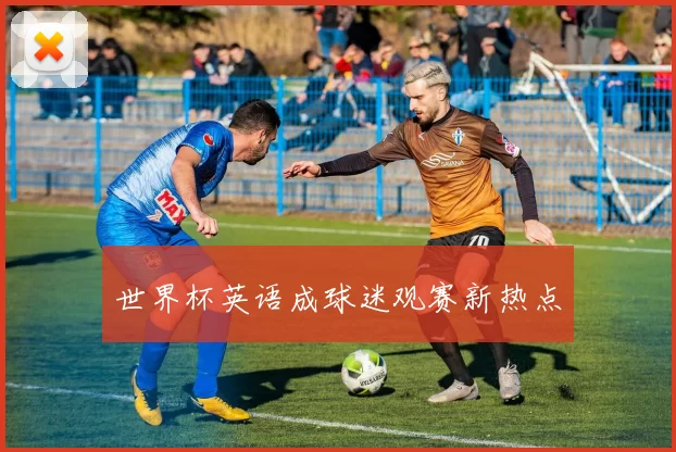 世界杯英语成球迷观赛新热点