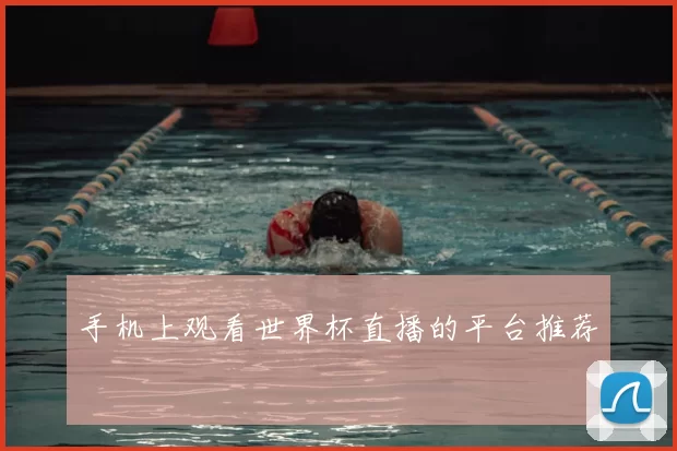 手机上观看世界杯直播的平台推荐