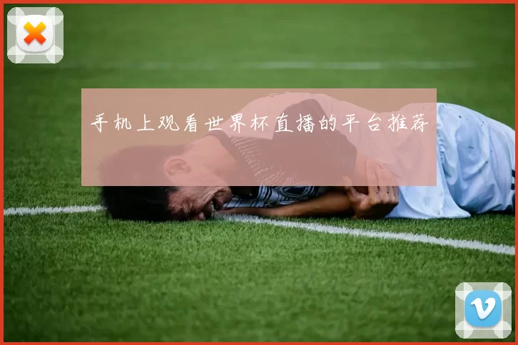手机上观看世界杯直播的平台推荐