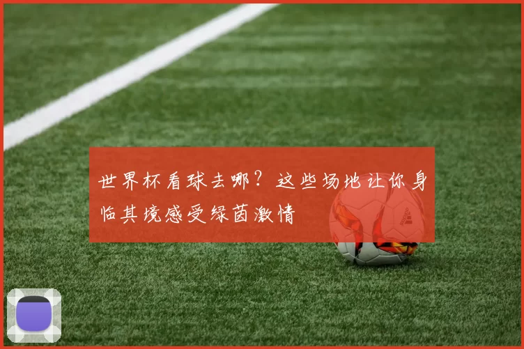 世界杯看球去哪？这些场地让你身临其境感受绿茵激情